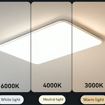 Daylight Panel